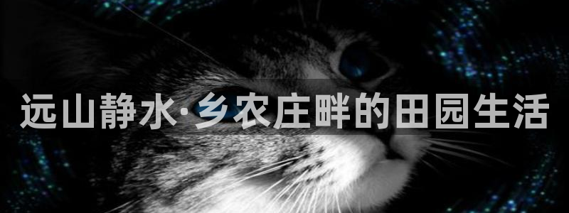 网赌电子pg