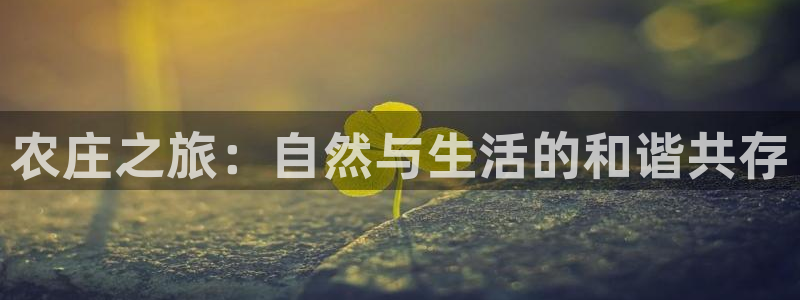 pg电子爆奖