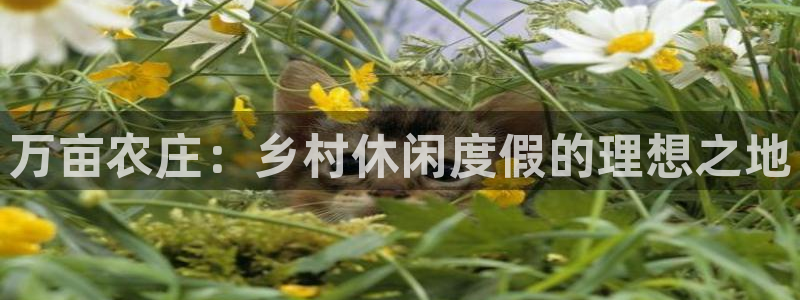 pg电子在线注册