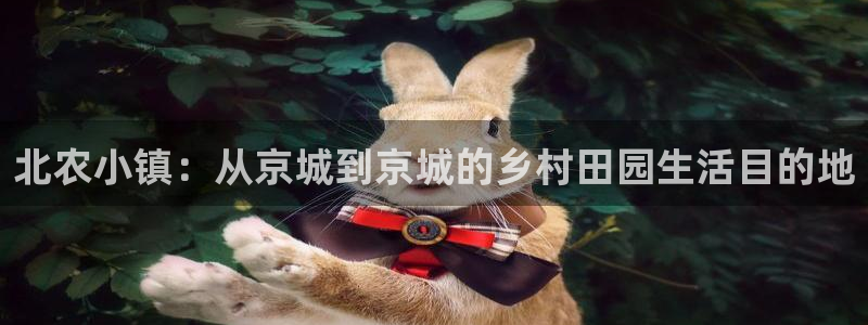 电子pg爆分视频
