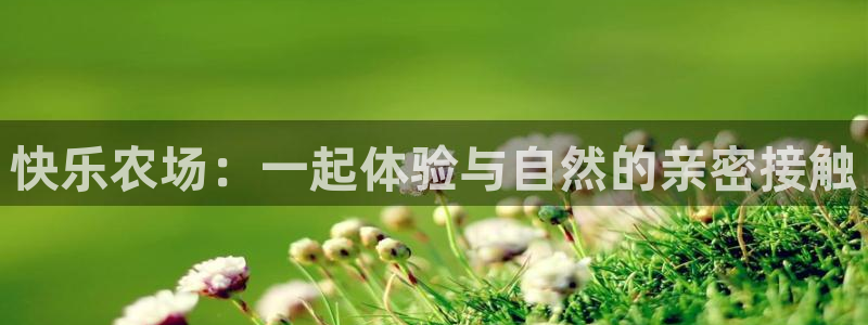 pg电子棋牌网站大全