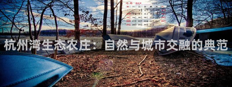 PG电子怎么回血