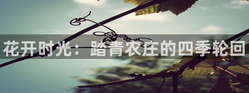 pg电子游戏机制