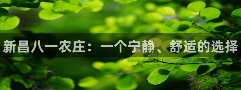 pg电子招财猫游戏爆分