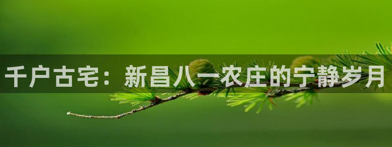 PG电子官网98db