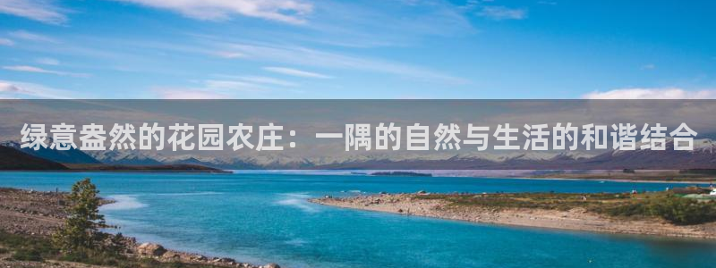 网站电子游戏PG怎么打