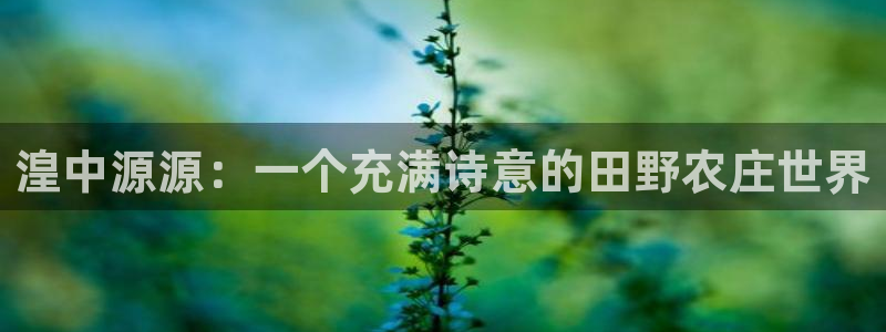 PG电子少林足球规则