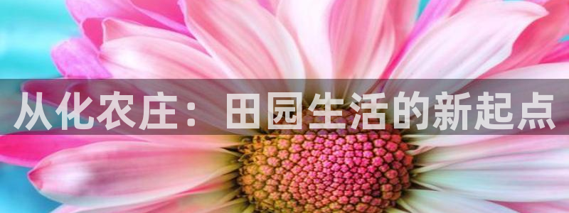 多闪娱乐电子pg