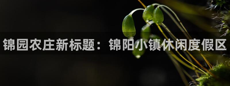 可以玩pg的电子软件