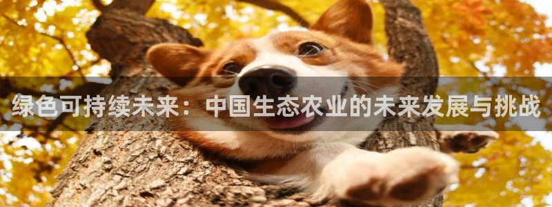 pg电子游戏犯法吗