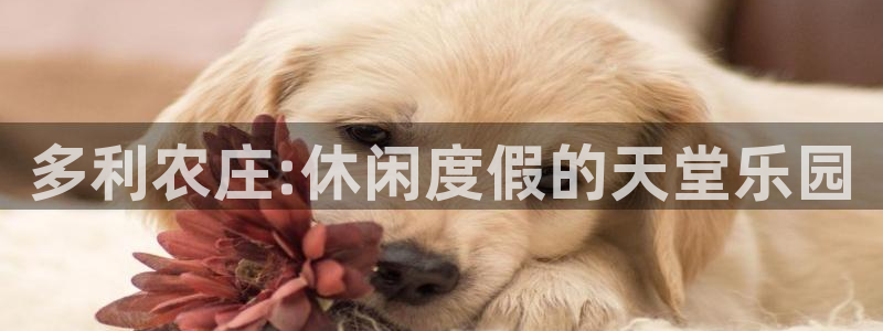 澳门PG电子网址