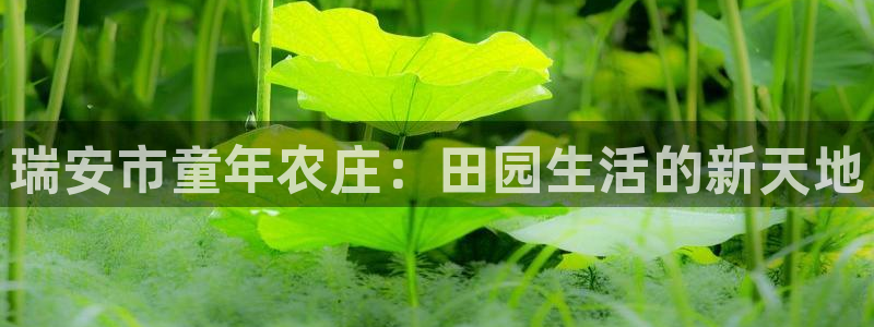 pg电子下载窗口