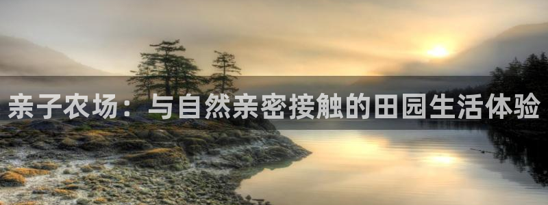pg电子怎么爆分