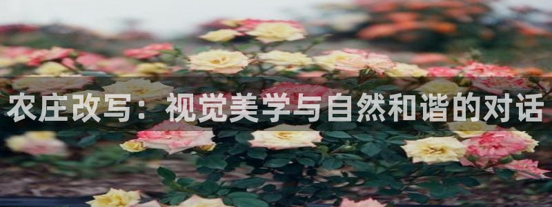 PG电子爆分辅助工具