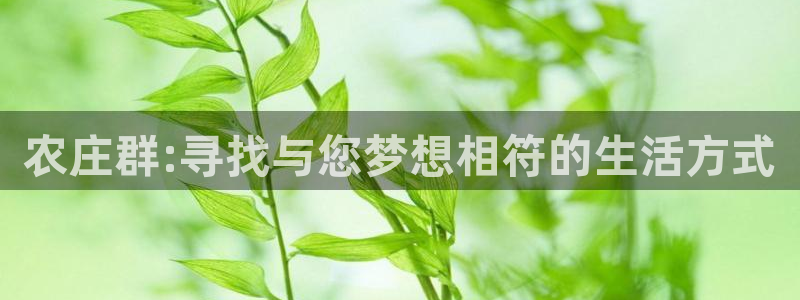 pg电子游戏下载开元
