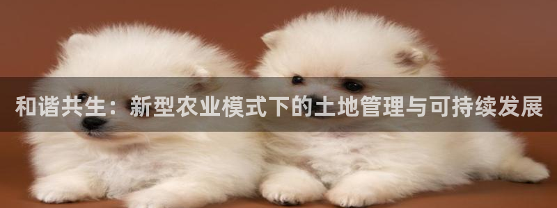 pg电子是怎么爆奖的