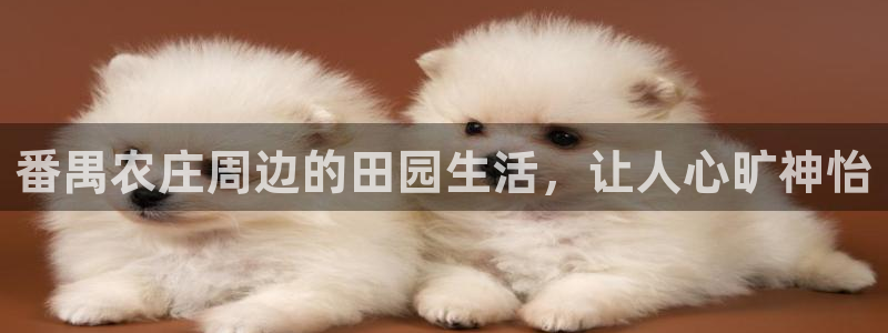 pg电子出分视频