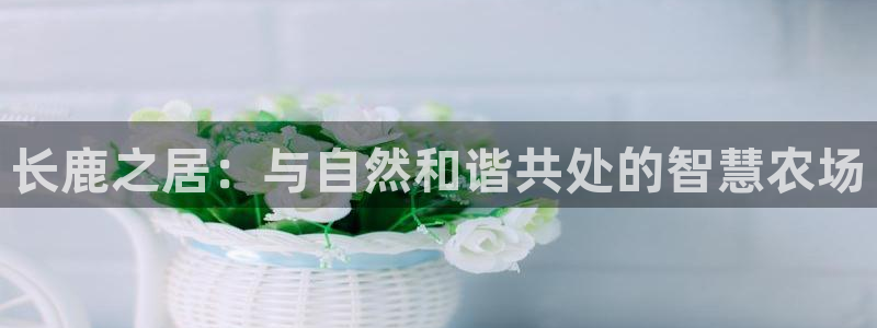 pg电子麻将胡了2
