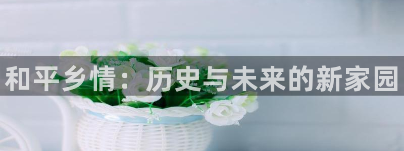 pg雪崩 电子说明书