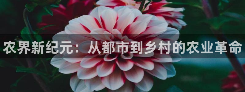 pg电子靠谱的平台