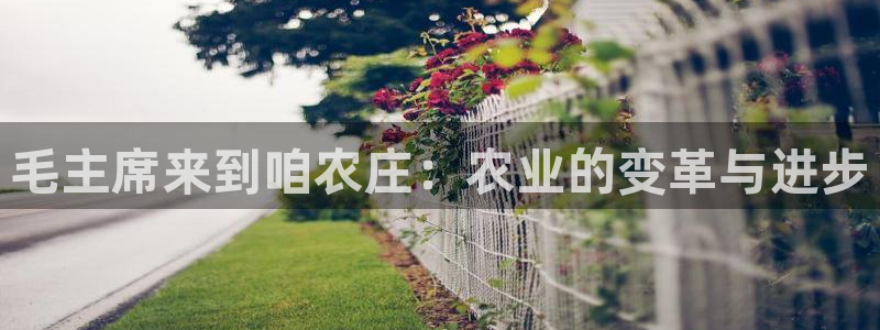 pg电子平台哪里找
