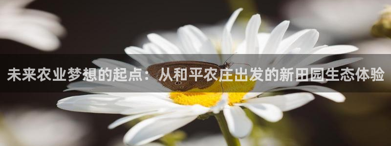pg电子游戏试玩版下载