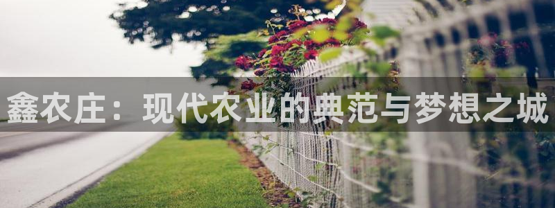 pg电子官方网站多少