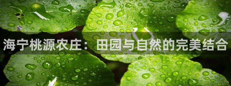 PG电子游戏外国