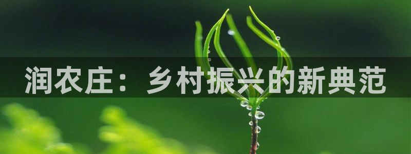 pg电子官网链接