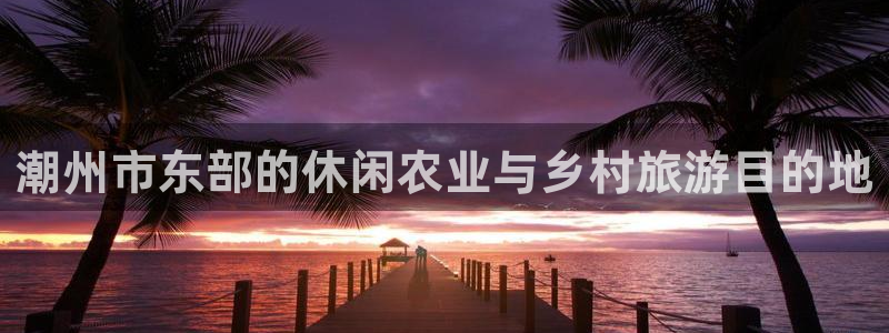 电子pg满屏胡
