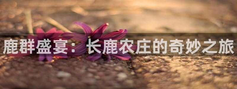 pg电子双喜临门爆分