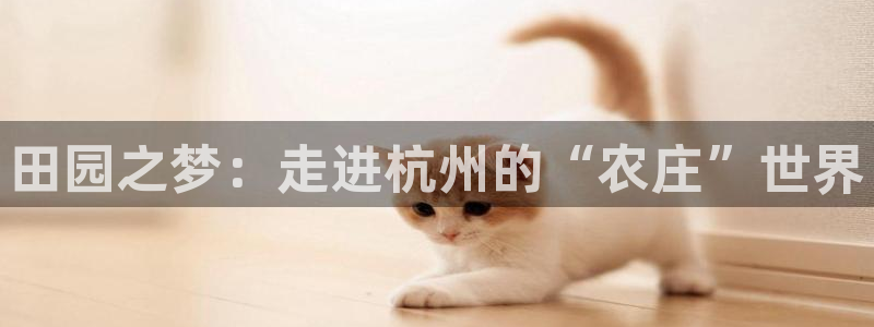 pg电子平台开户