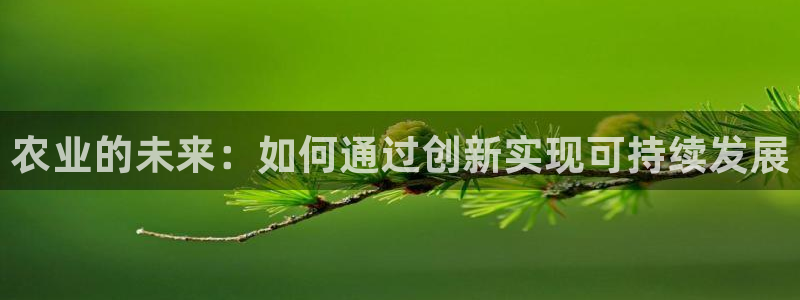 pg电子是局域网的吗