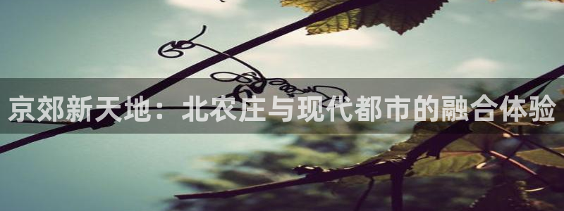 必发集团pg电子