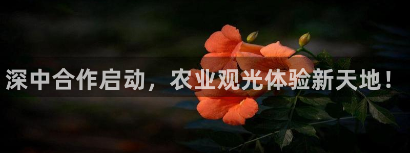 pg电子游戏下载开元