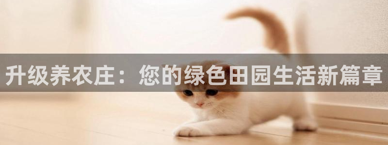 电子pg赏金女王