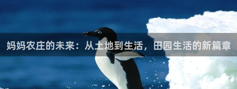 免费pg电子游戏苹果版