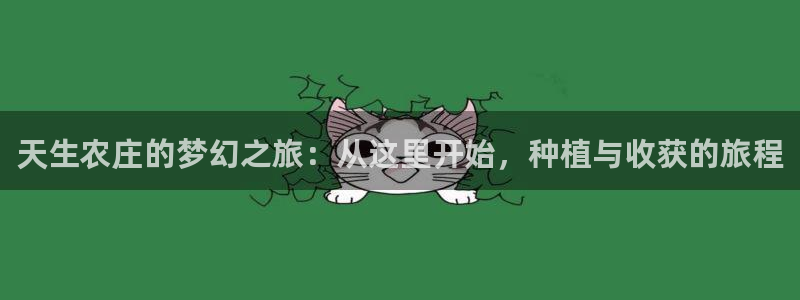 pg电子游戏官网源码