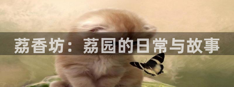 盛大娱乐pg电子游戏