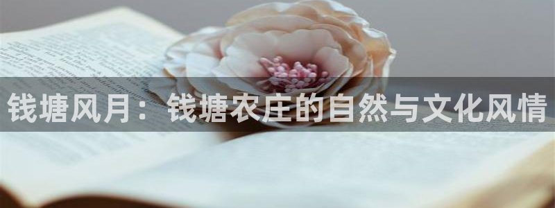 pg电子官方网站入口