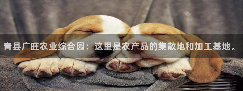 pg电子麻将胡了爆超级大奖