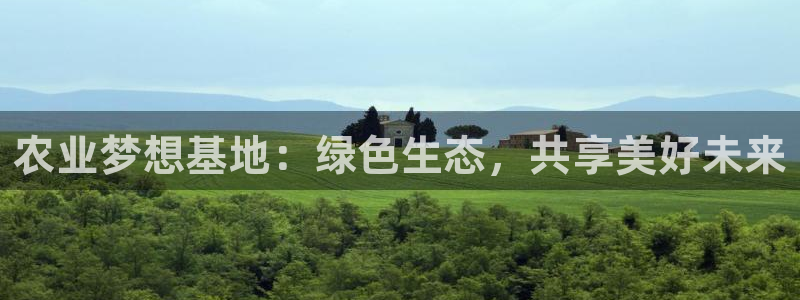 网站电子游戏PG怎么打