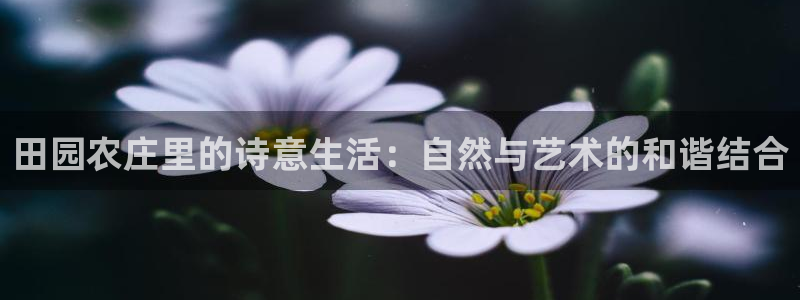 pg电子千赢国际