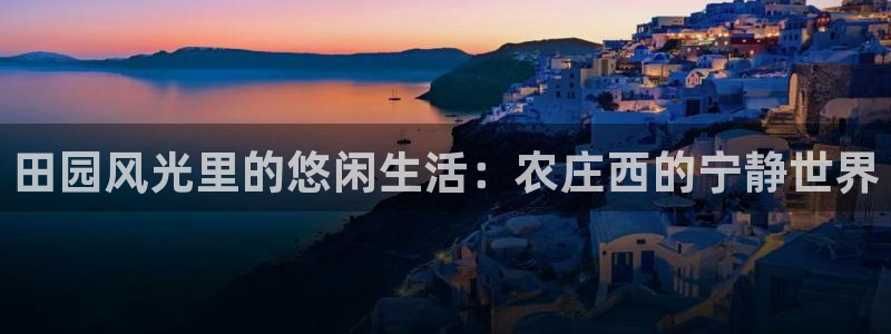 网站电子游戏PG怎么打