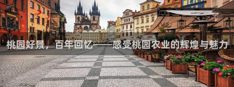 pg电子免费旋转退出后