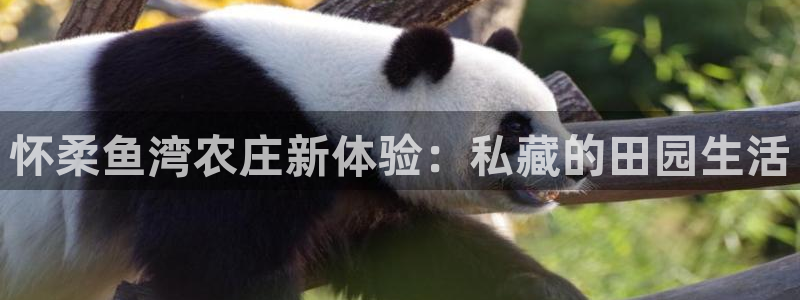 pg电子麻将胡了单机