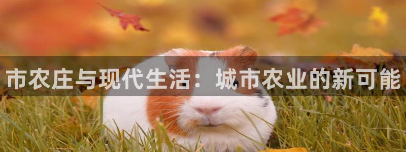 pg电子成就非凡