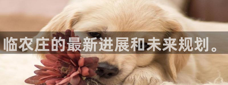 pg电子招财猫试玩