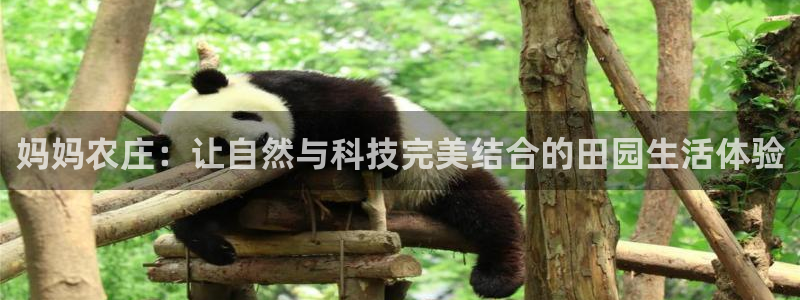 有没有PG电子体验的