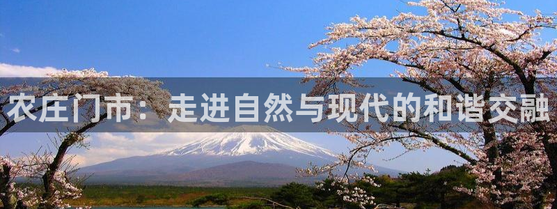 有没有PG电子体验的